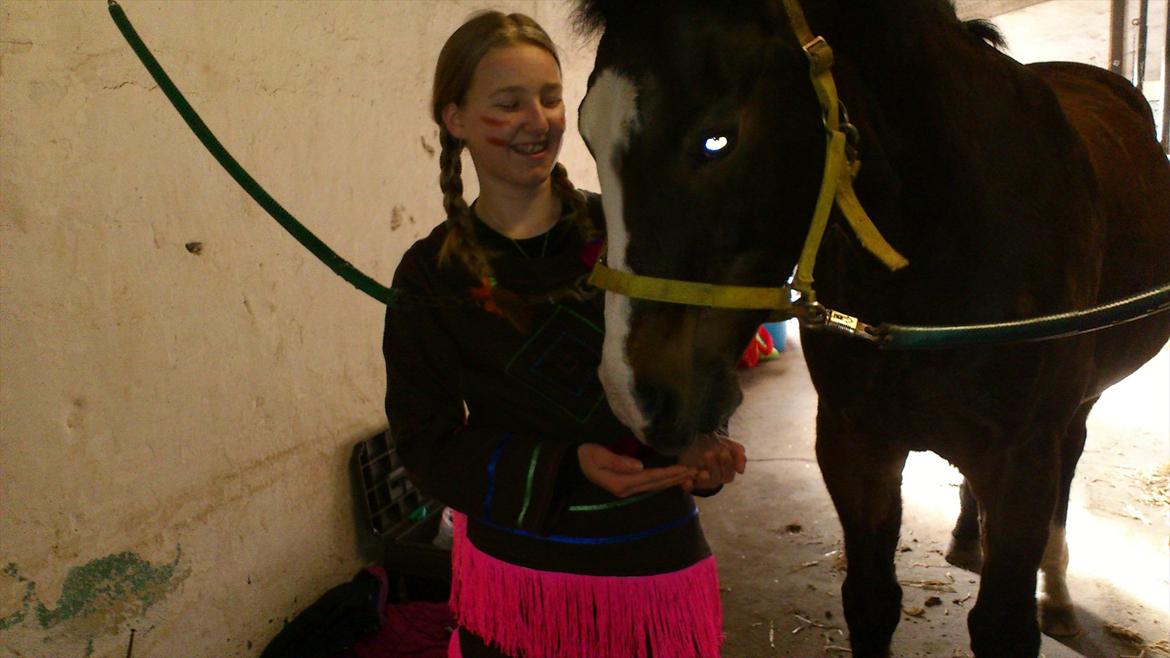 Anden særlig race Chance {Himmelhest} - min nye skønhed! billede 14