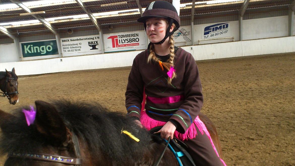 Anden særlig race Chance {Himmelhest} billede 7