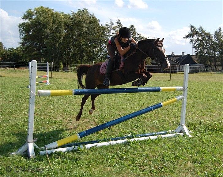 DSP Red Lady -  tidl. pony R.I.P :'( - I sommerhus 2009 - dejlige pony! <3 billede 4