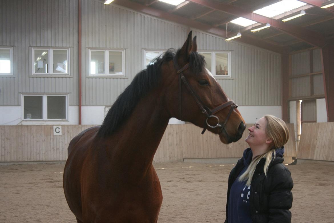 Anden særlig race Flatteur billede 16