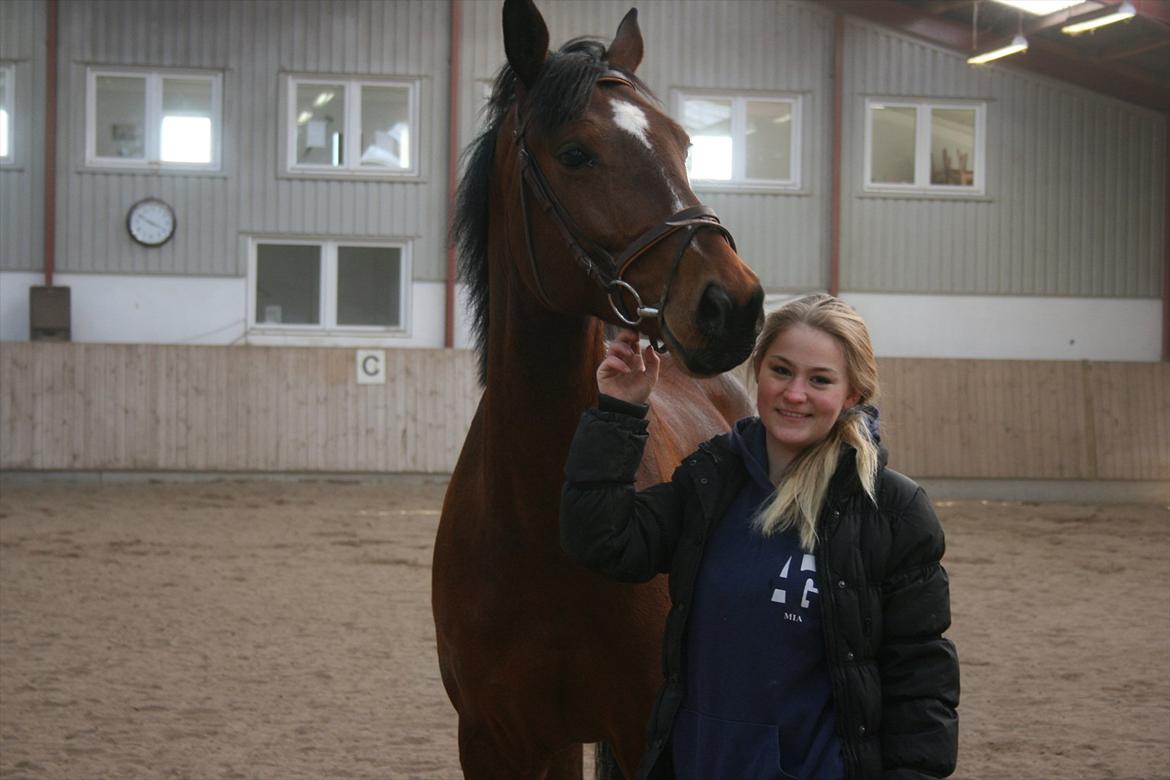 Anden særlig race Flatteur billede 12