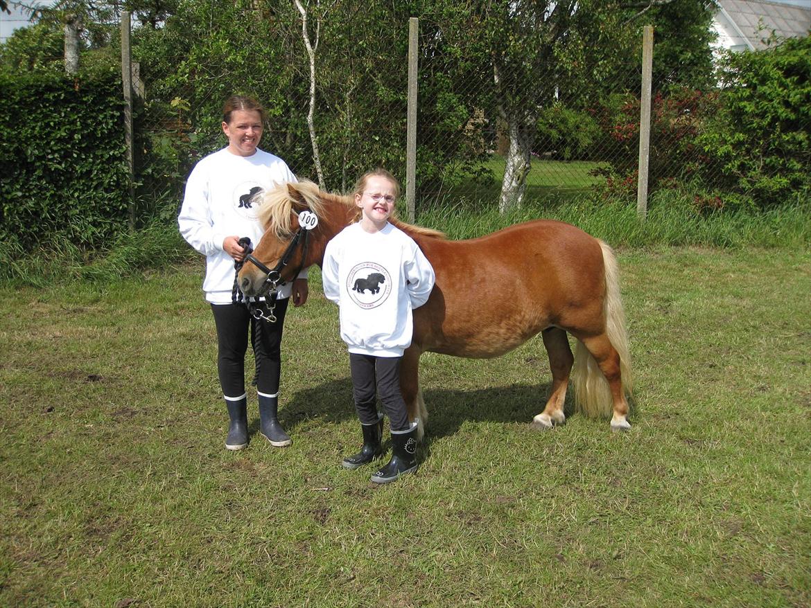 Shetlænder Sandie Bomlund billede 14