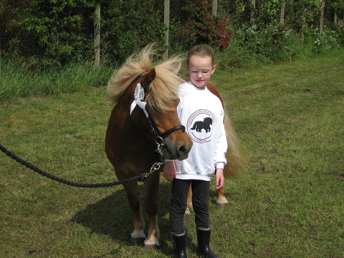 Shetlænder Sandie Bomlund billede 15