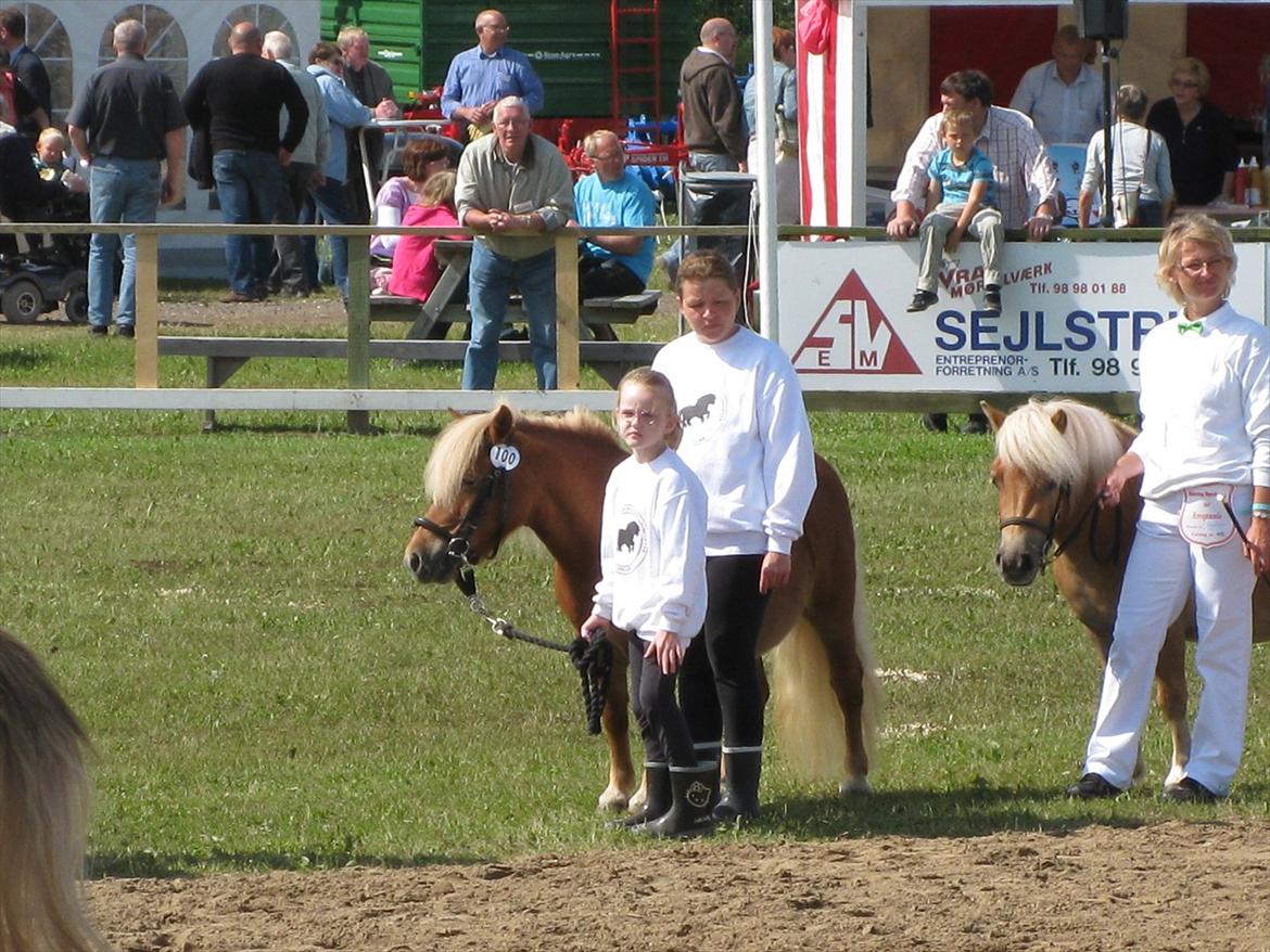 Shetlænder Sandie Bomlund billede 17