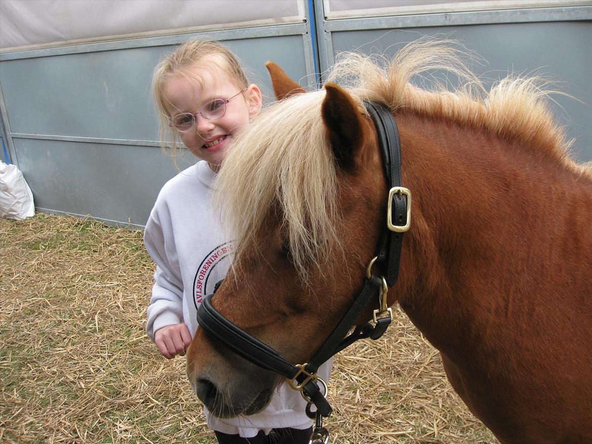 Shetlænder Sandie Bomlund billede 18