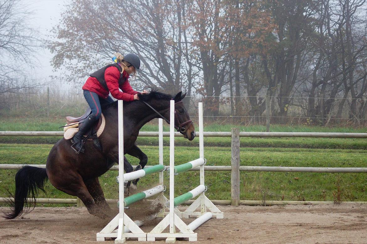Anden særlig race Afrodite - Hahahahah.. :-D 
- Dite valgte lige at stoppe! billede 18