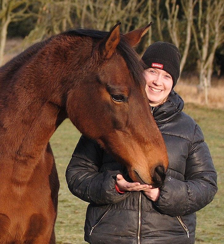 Dansk Varmblod Fiona billede 8