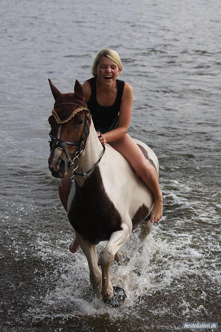 Pinto HOKUSPOKUS solgt - Badetur<3 billede 1