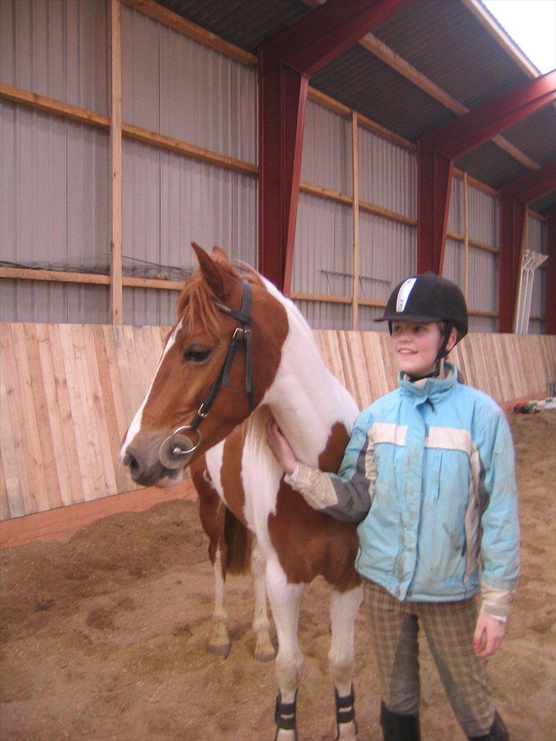 Pinto HOKUSPOKUS solgt - Loove you! billede 8