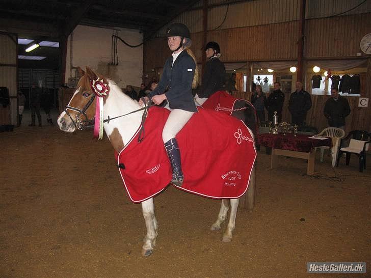 Pinto HOKUSPOKUS solgt - Klubmestre pony spring 2010 billede 9