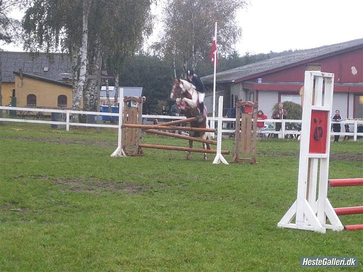 Pinto HOKUSPOKUS solgt - Første MB** - gled ind i vandgraven, så desværre udgik vi. Men hun springer nice her :-P billede 13