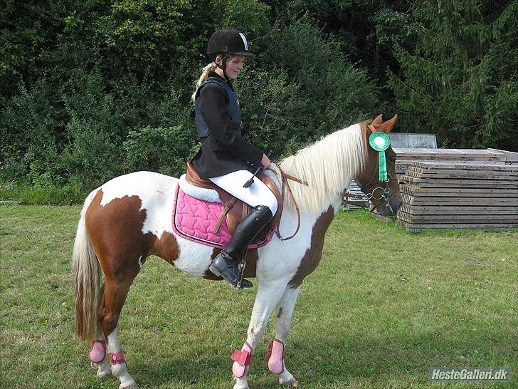 Pinto HOKUSPOKUS solgt - LB** HIRI - 3.+4. plads:-* billede 17