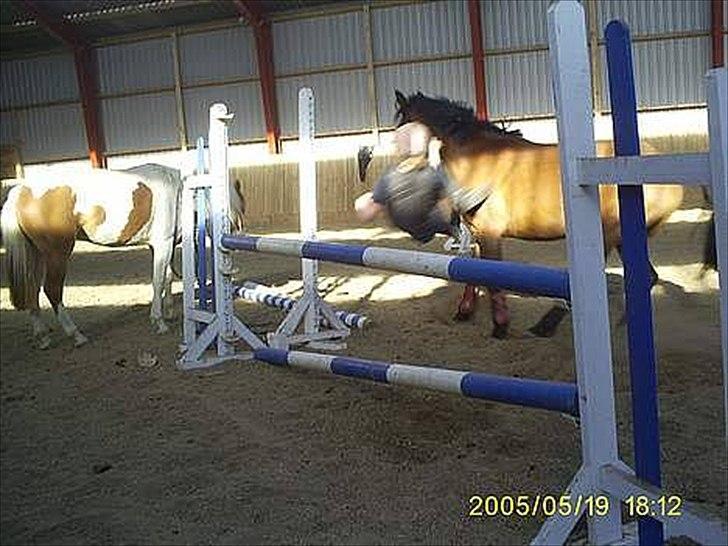 Anden særlig race MILAN (HALVMÅNE) solgt  - Komisk billed, af Milan & jeg.  billede 2