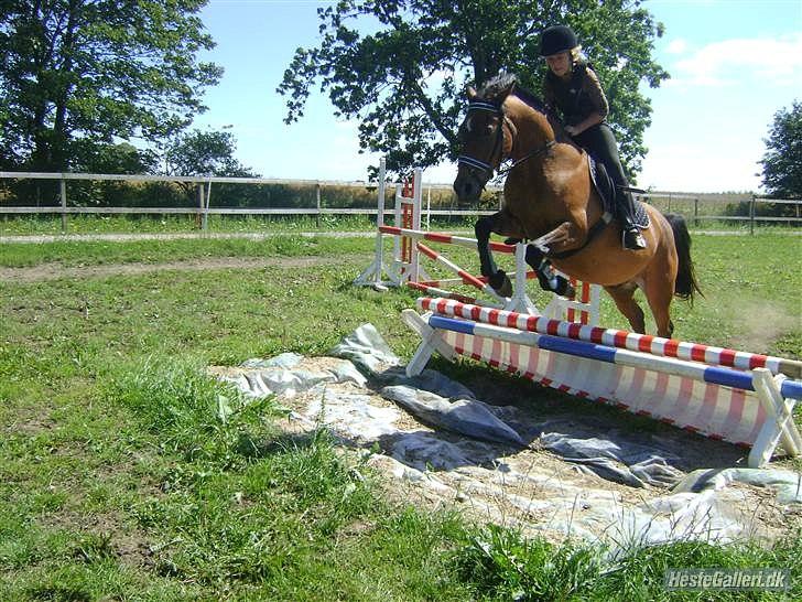 Anden særlig race MILAN (HALVMÅNE) solgt  - Christina & milan - på vores gamle vandgrav. Vi har fået ny nu;-) billede 4