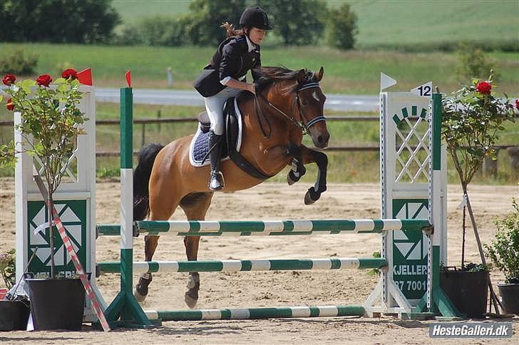 Anden særlig race MILAN (HALVMÅNE) solgt  - Cecilie & Milan:-) Stævne i KOOR billede 6