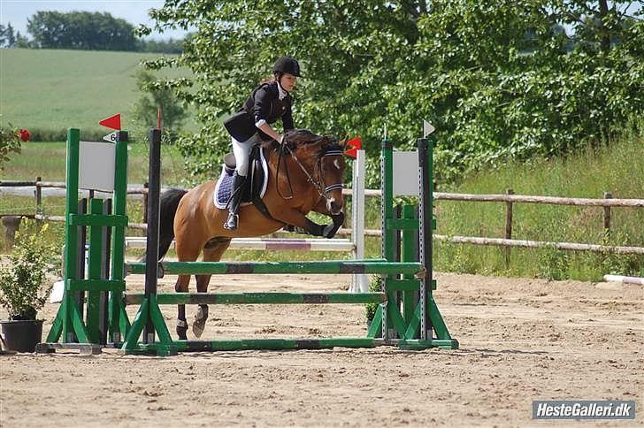 Anden særlig race MILAN (HALVMÅNE) solgt  - Cecilie & Milan:-) billede 7