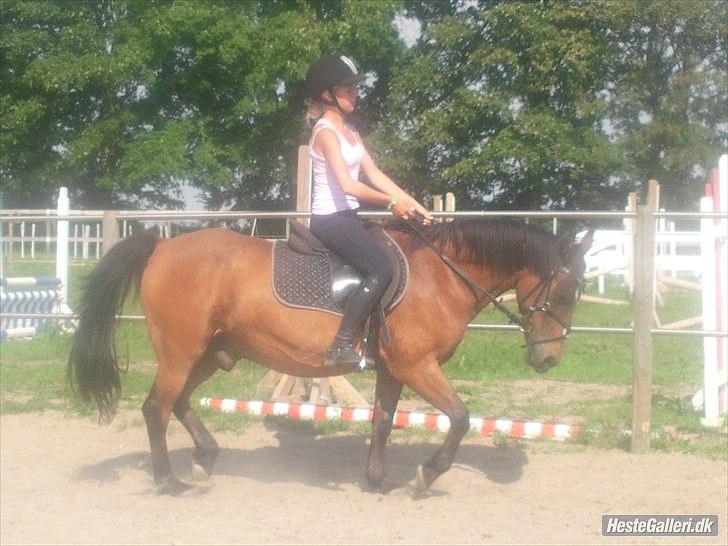 Anden særlig race MILAN (HALVMÅNE) solgt  - Christina & milan  billede 9