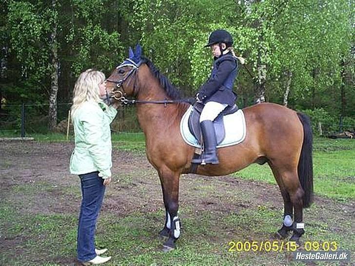 Anden særlig race MILAN (HALVMÅNE) solgt  - Jeanne (min søster) & Milan, stævne i SIR billede 12