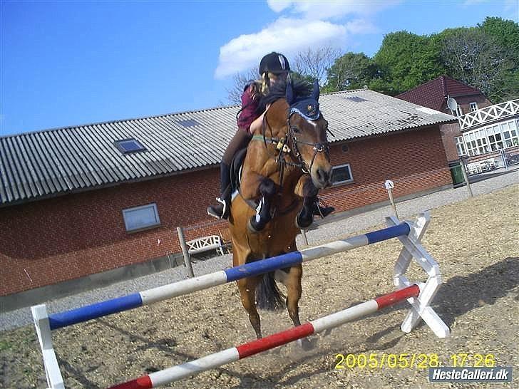 Anden særlig race MILAN (HALVMÅNE) solgt  - Milan & jeg billede 13