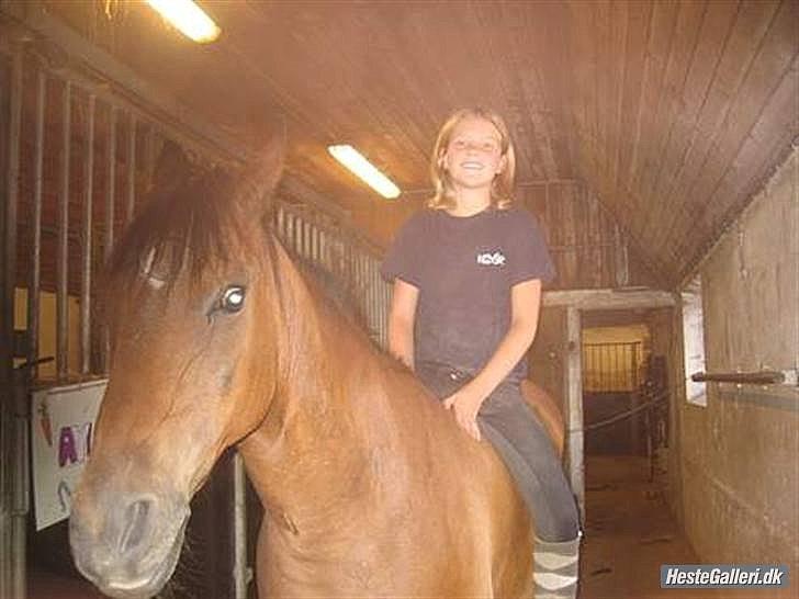 Anden særlig race MILAN (HALVMÅNE) solgt  - Milan & jeg billede 15