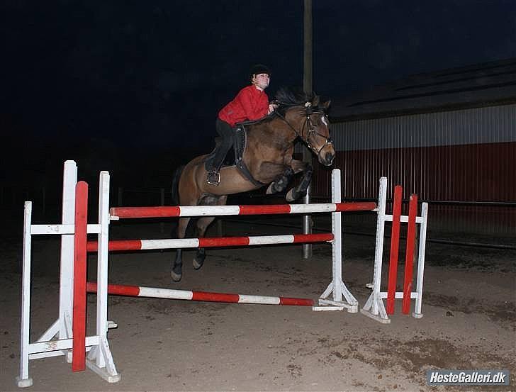 Anden særlig race MILAN (HALVMÅNE) solgt  - Milan & jeg billede 17