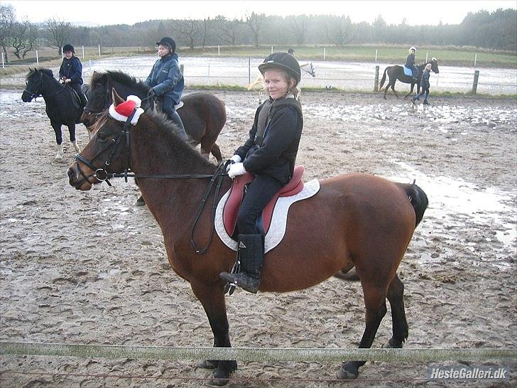 Anden særlig race MILAN (HALVMÅNE) solgt  - Milan & jeg - 2005 mener jeg. Mit første stævne dengang!:') billede 18