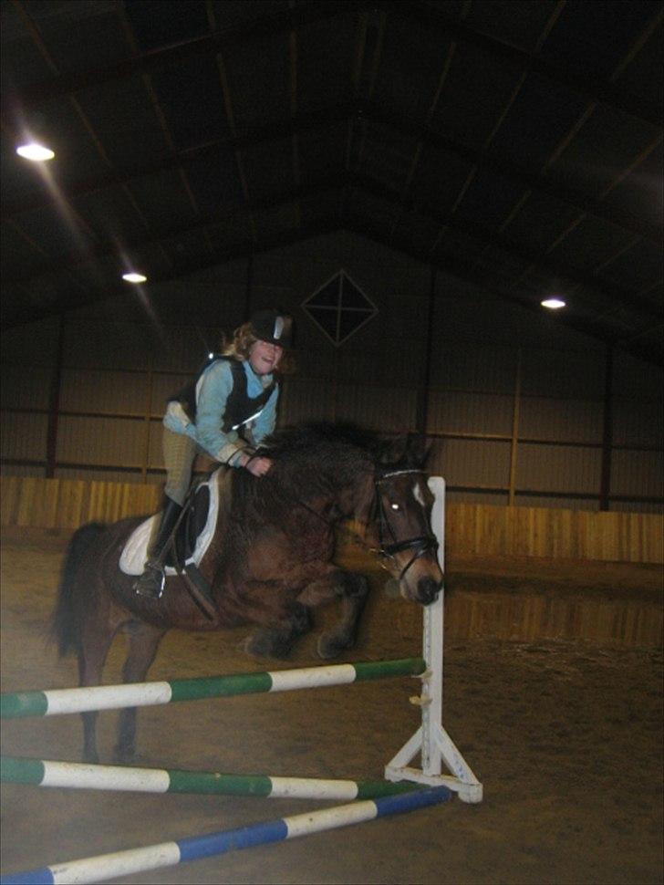 Anden særlig race MILAN (HALVMÅNE) solgt  - Milan & jeg billede 19