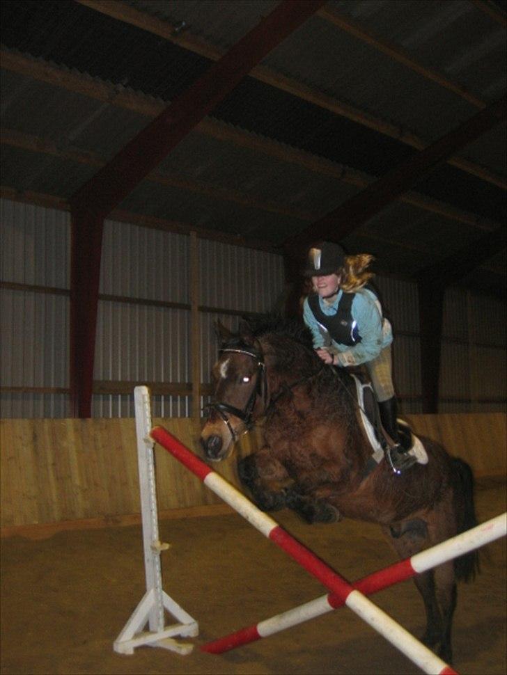 Anden særlig race MILAN (HALVMÅNE) solgt  - Milan & jeg billede 20