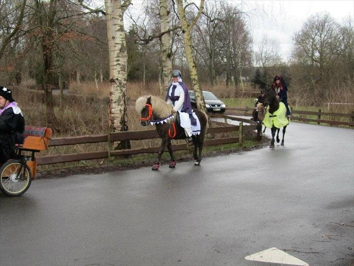 Islænder Elva fra Torupgård - Køge ridelaugs fastelavnstur d 19-2-2012.... Vi var 15 rytter og 2 hestevogne billede 9