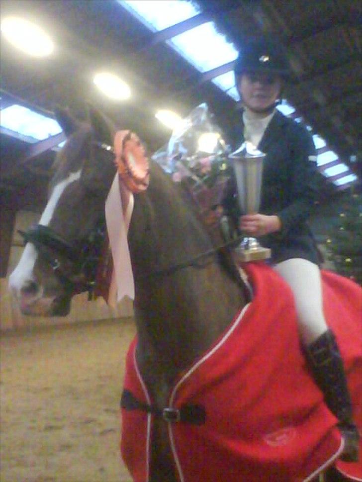 New Forest MISTY - Championatsvindere 2009. l billede 18