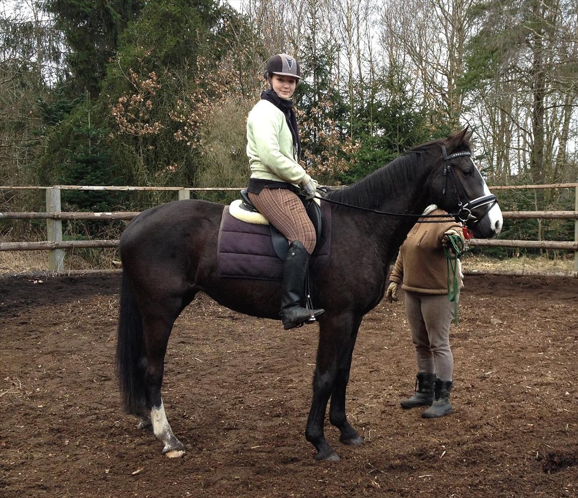 Oldenborg Beauty billede 6