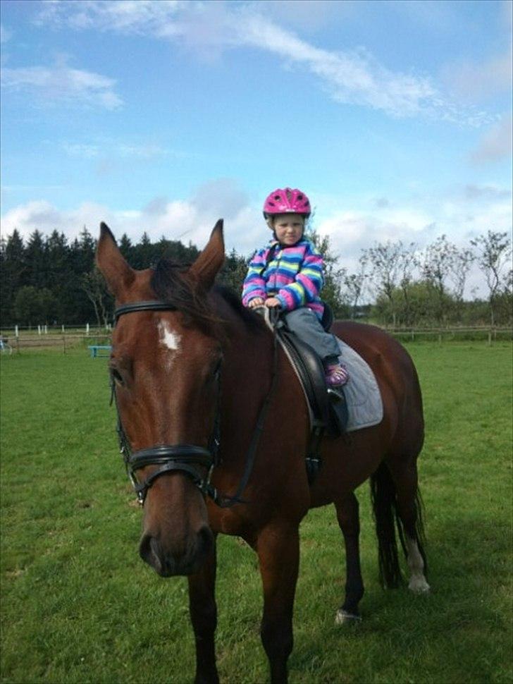 Oldenborg Aleppo billede 6