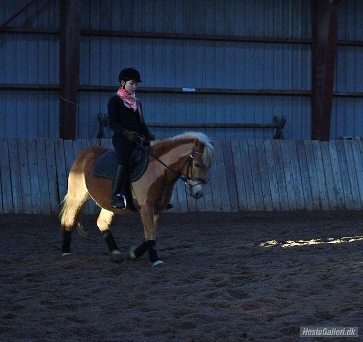 Anden særlig race Nudie (du er Savnet!<3) billede 3