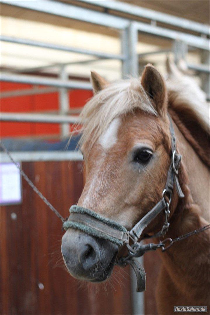 Anden særlig race Nudie (du er Savnet!<3) billede 8