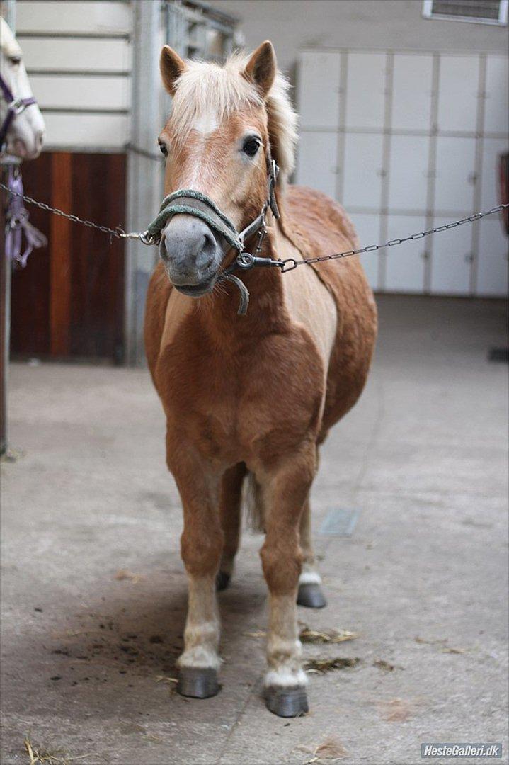 Anden særlig race Nudie (du er Savnet!<3) billede 9
