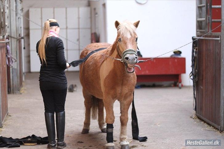 Anden særlig race Nudie (du er Savnet!<3) - Nudie blev vist lidt træt :)  billede 10