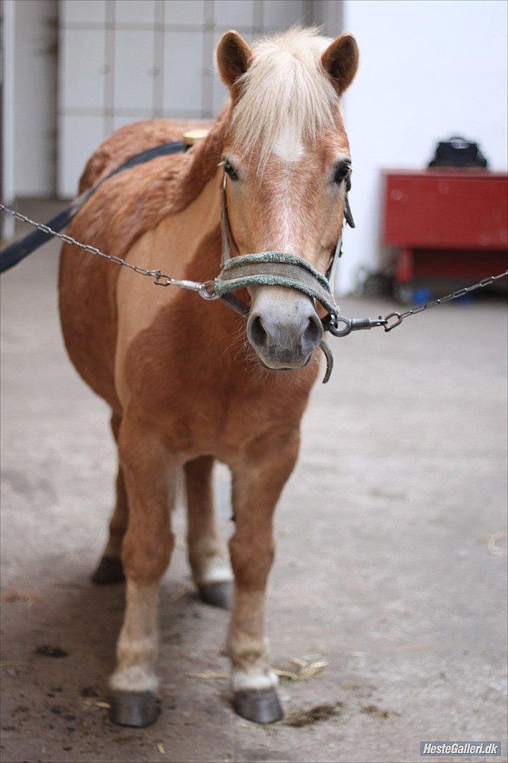 Anden særlig race Nudie (du er Savnet!<3) billede 11