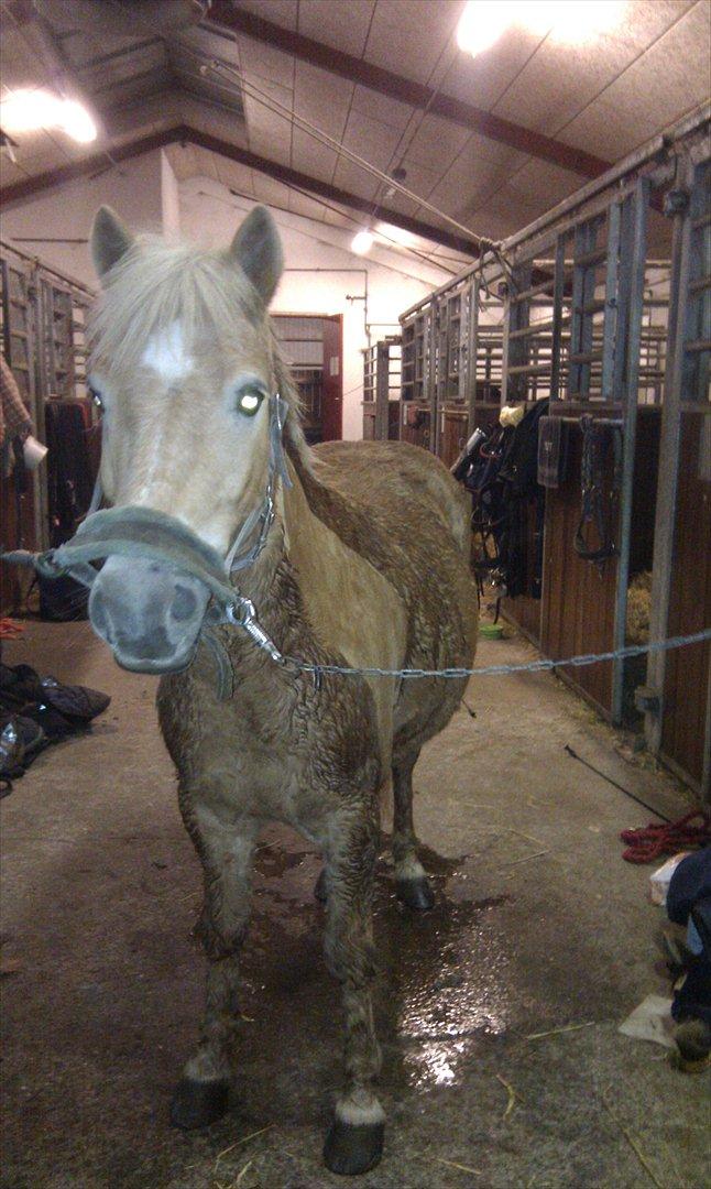 Anden særlig race Nudie (du er Savnet!<3) billede 12