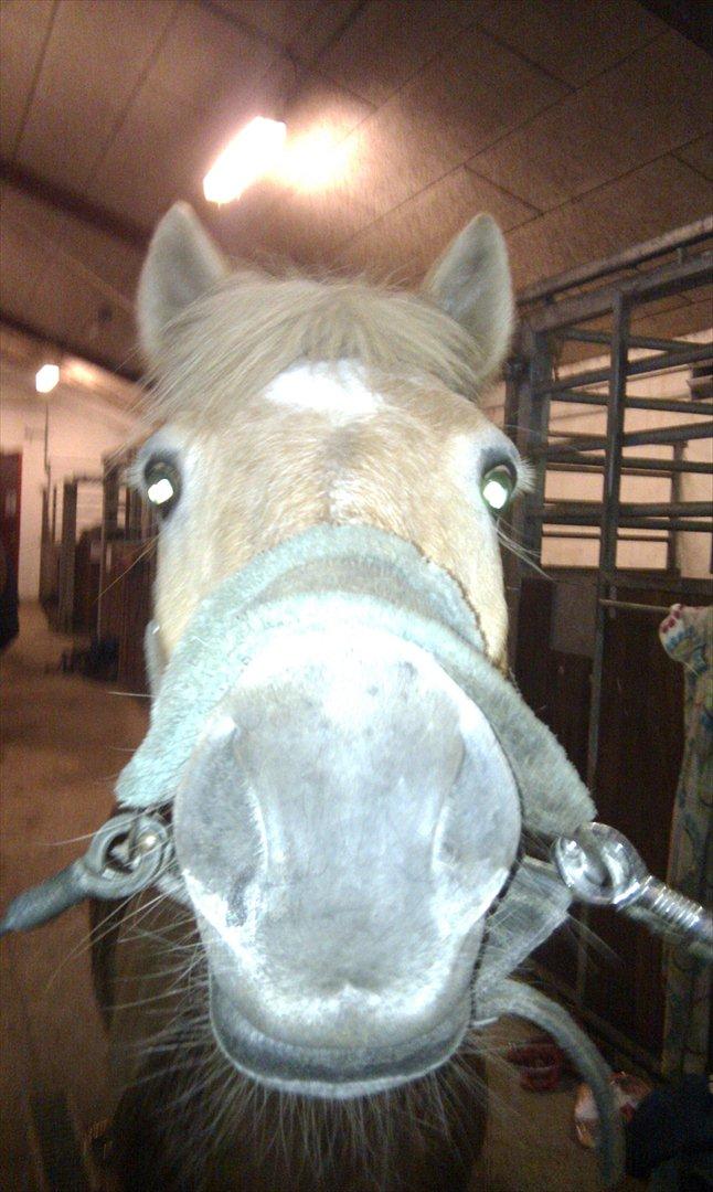 Anden særlig race Nudie (du er Savnet!<3) billede 13