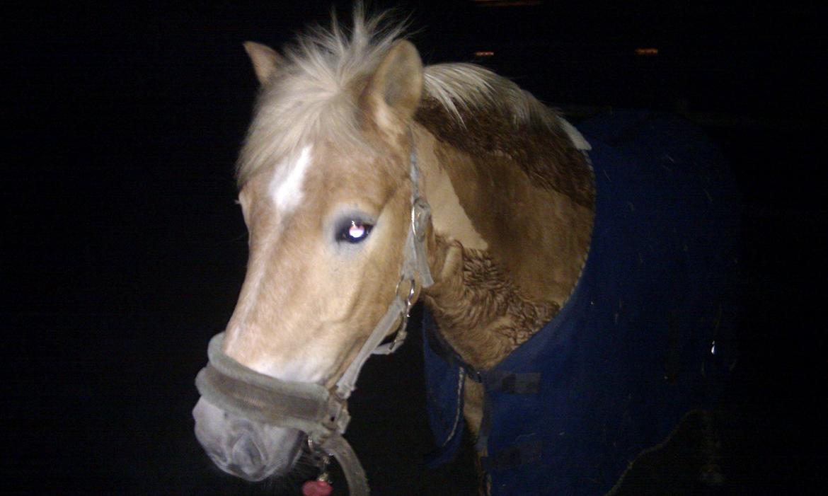 Anden særlig race Nudie (du er Savnet!<3) billede 14