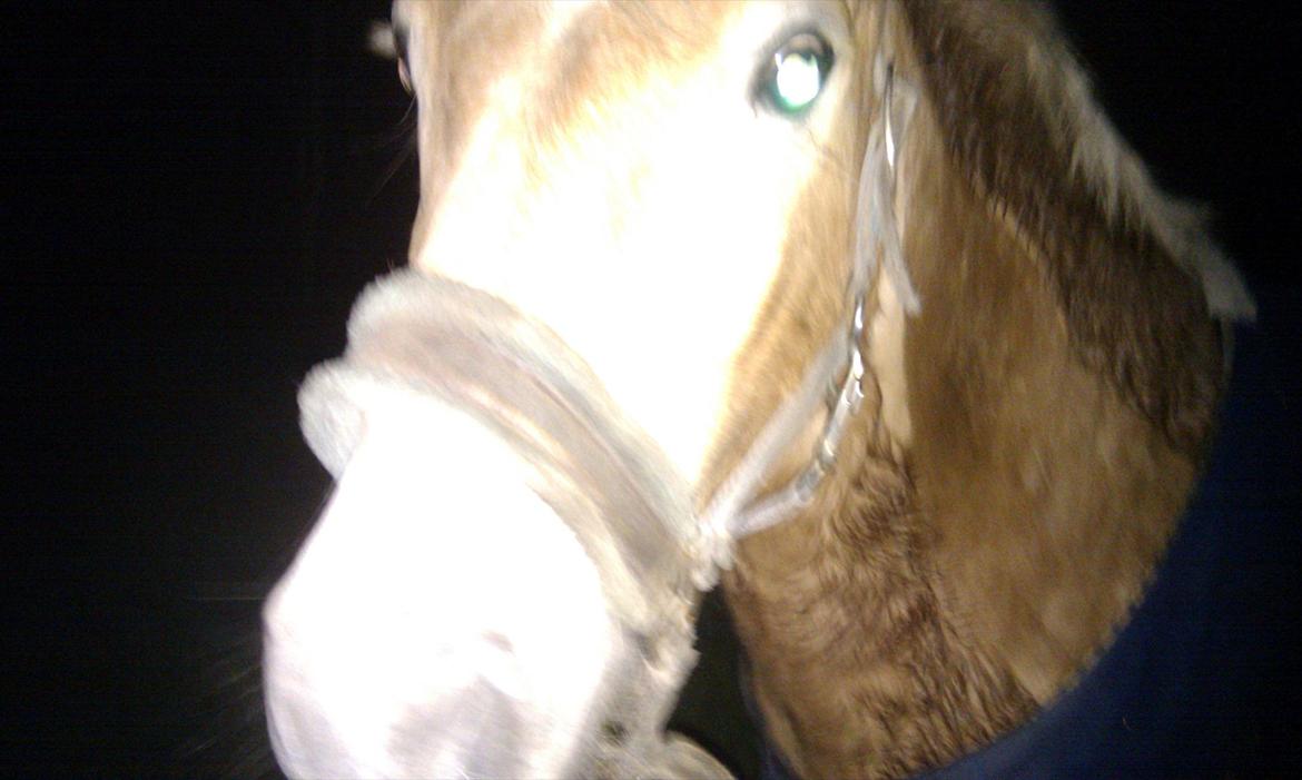 Anden særlig race Nudie (du er Savnet!<3) billede 15