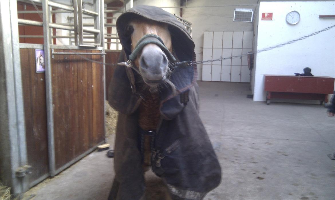 Anden særlig race Nudie (du er Savnet!<3) - det passer da meget godt :P  billede 17