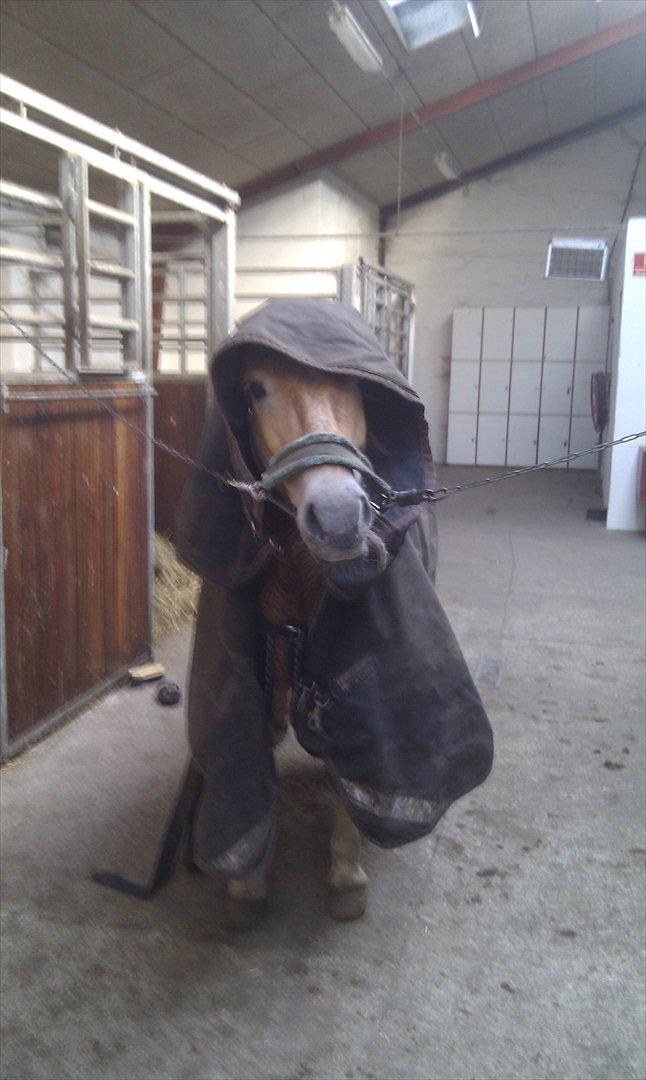 Anden særlig race Nudie (du er Savnet!<3) billede 18