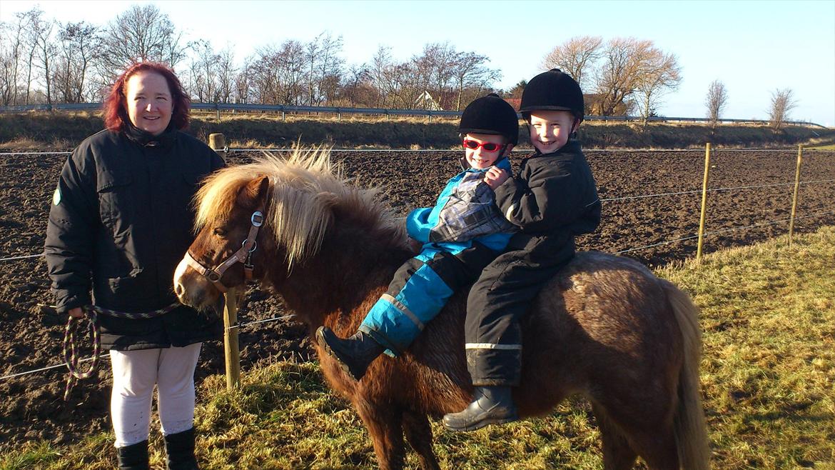 Anden særlig race Ismile billede 2