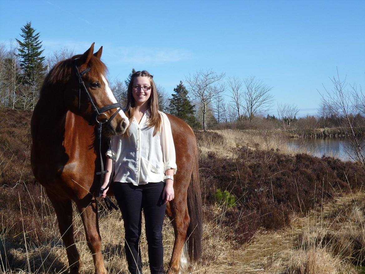 Anden særlig race Ødipus billede 9
