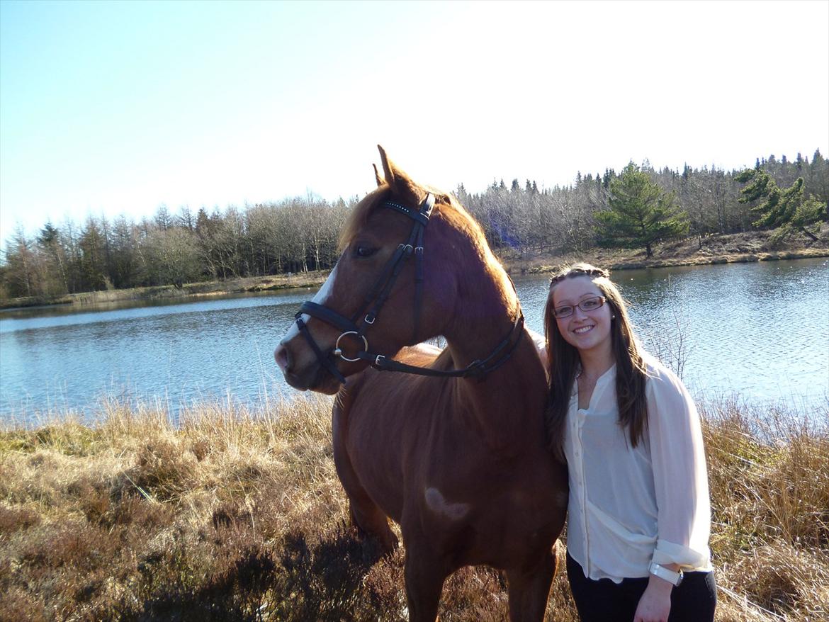 Anden særlig race Ødipus billede 10