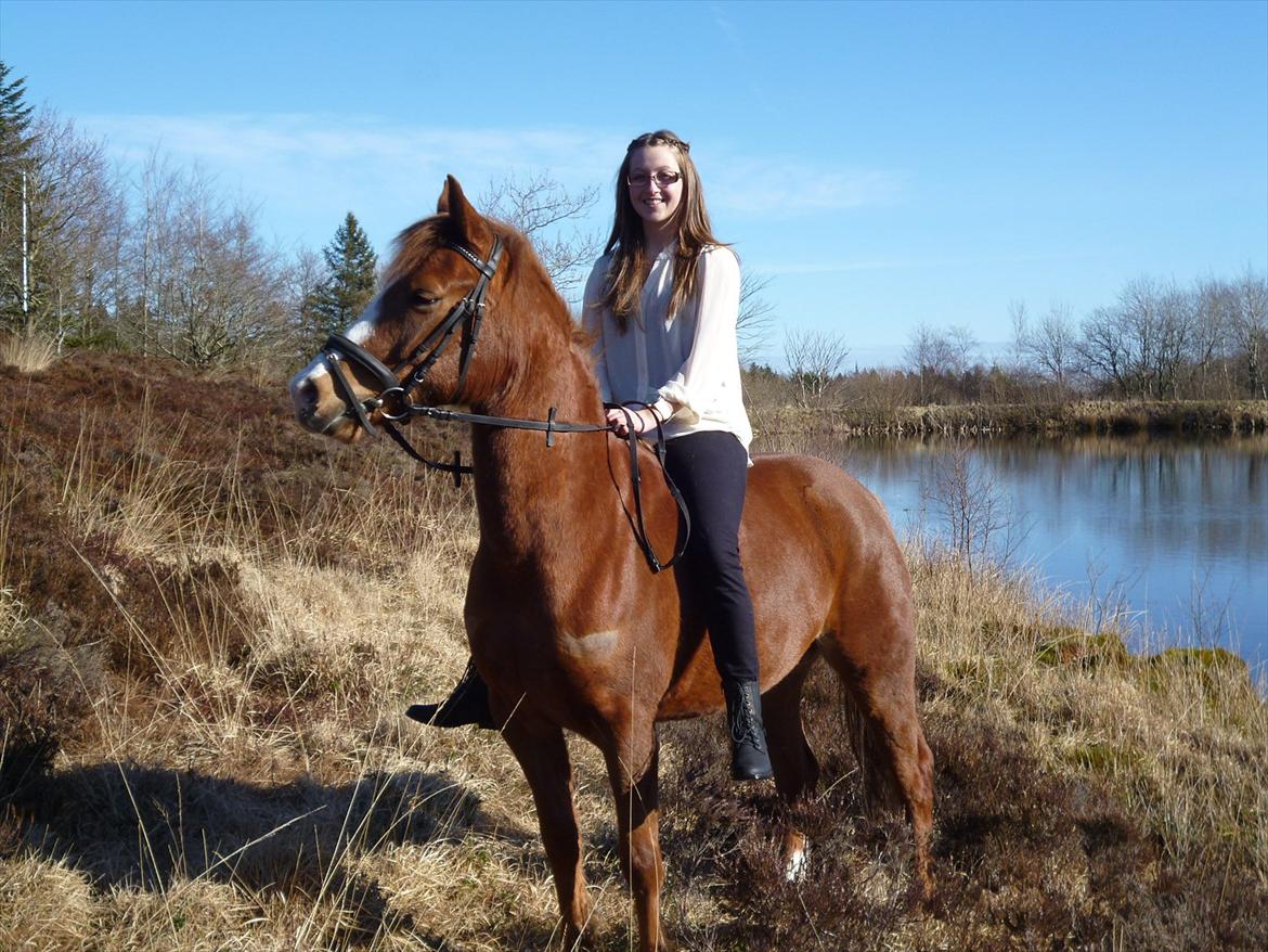Anden særlig race Ødipus billede 2