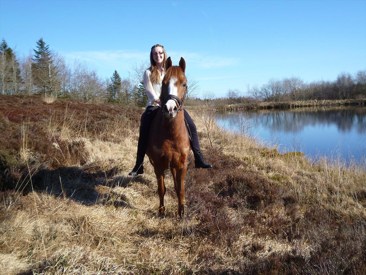 Anden særlig race Ødipus billede 1