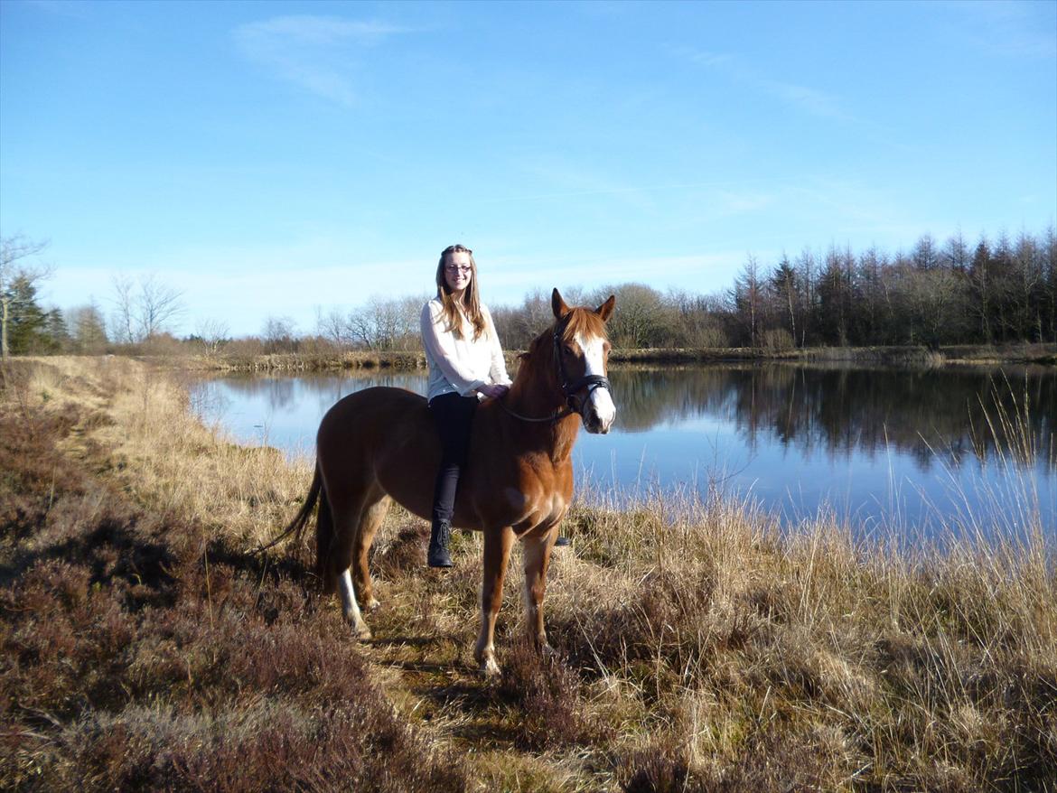 DSP Fie Engholm. billede 11