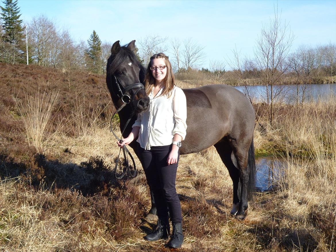 New Forest Hamborgs dahlia - Forårsbilleder 2012.  billede 15